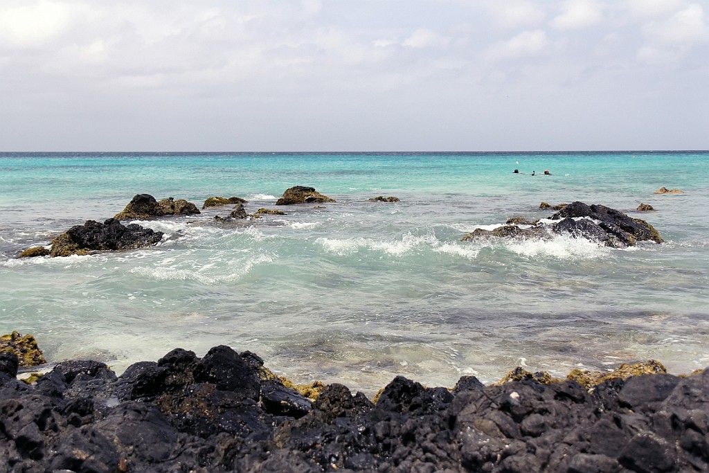 cruise14 (276).jpg